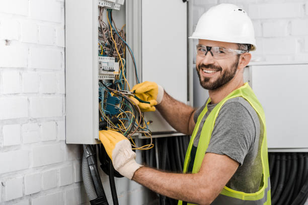 Best Licensed Electrician  in Rapid City, MI