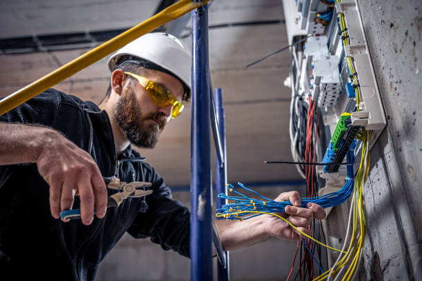 Best Generator Installation Services  in Rapid City, MI