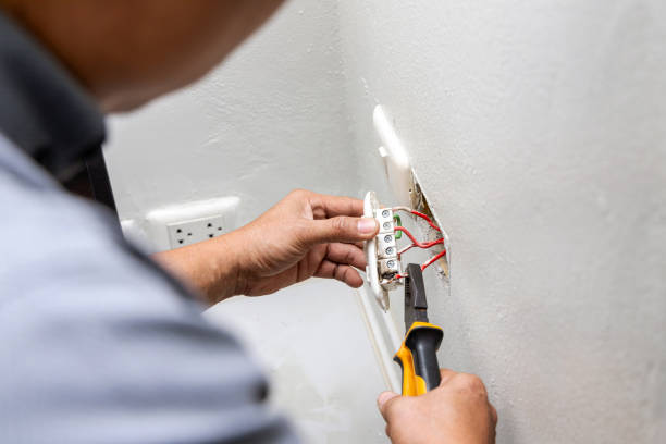 Best Electrical Upgrades for Homes  in Rapid City, MI